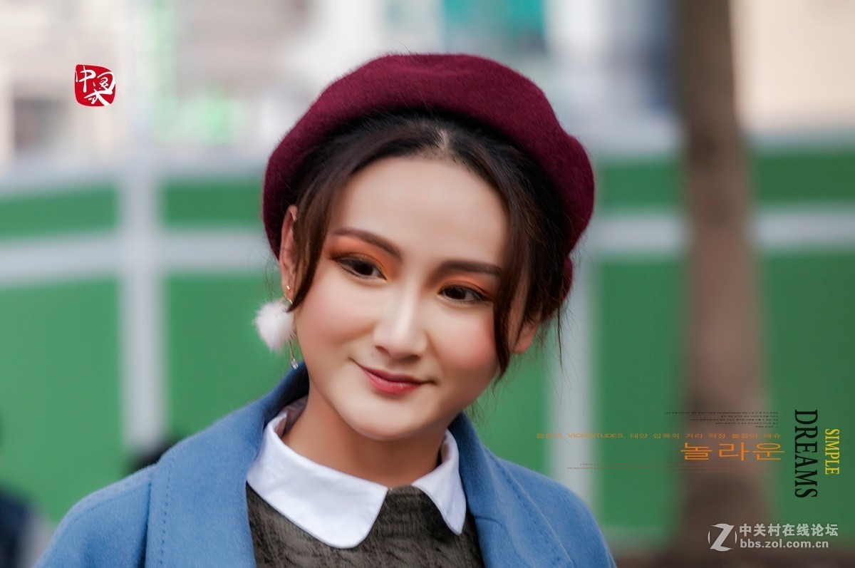 片片落叶片片情