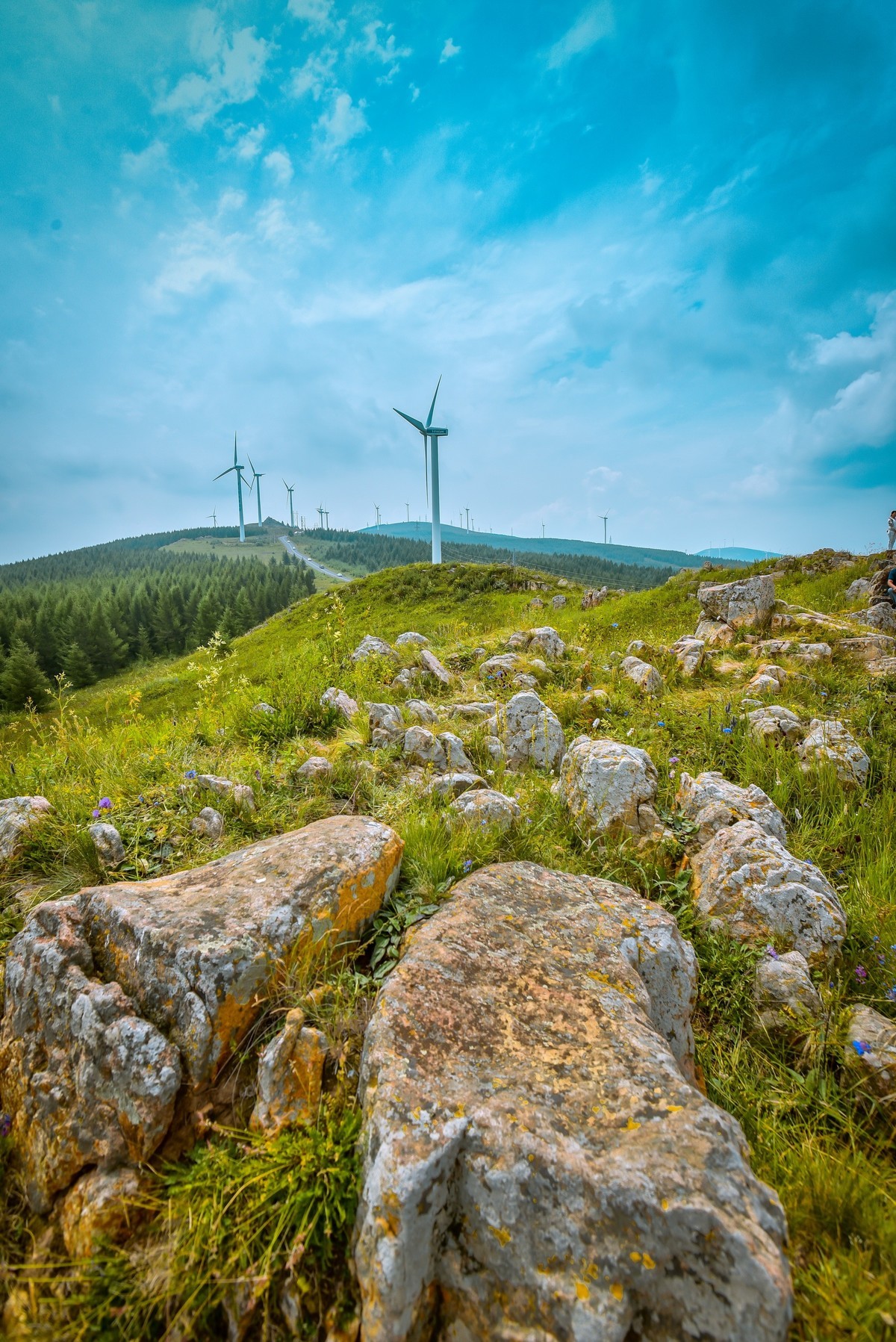 #回顾2019#不忘初心，热忱不减