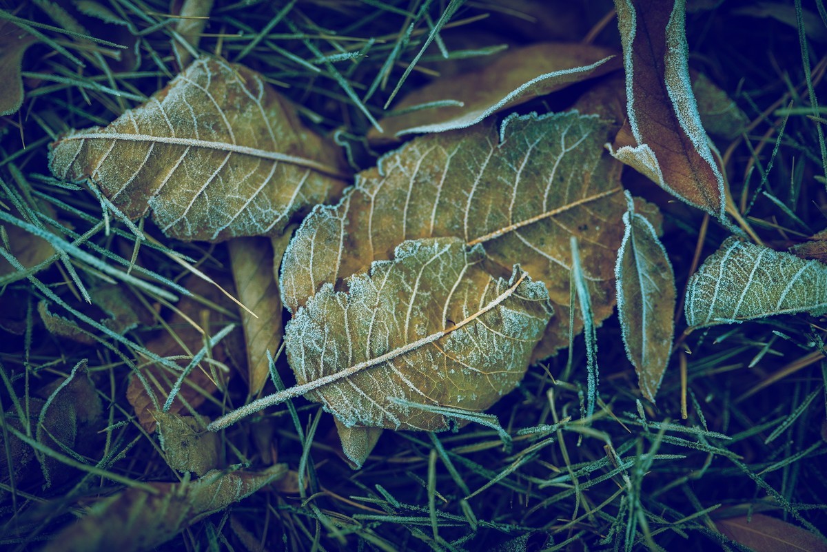 #回顾2019#不忘初心，热忱不减