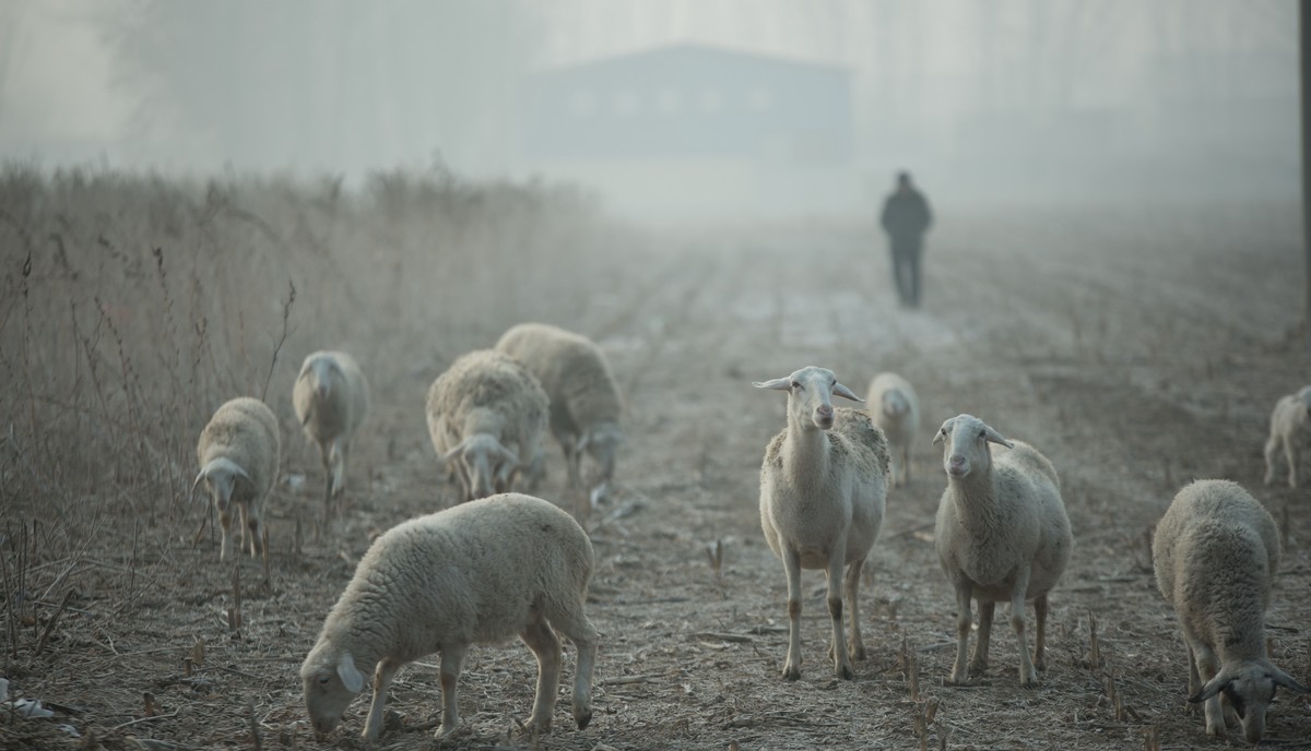 #回顾2019#不忘初心，热忱不减