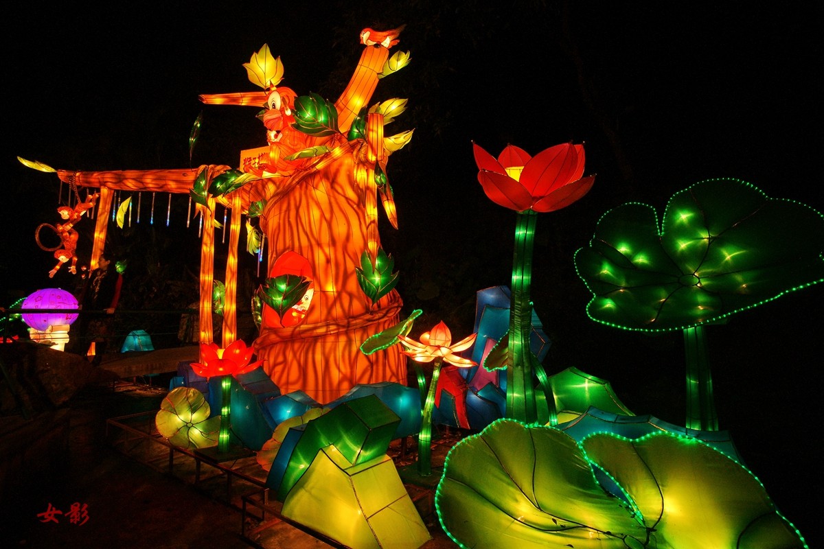 一组[绽放花灯]------元宵节快乐