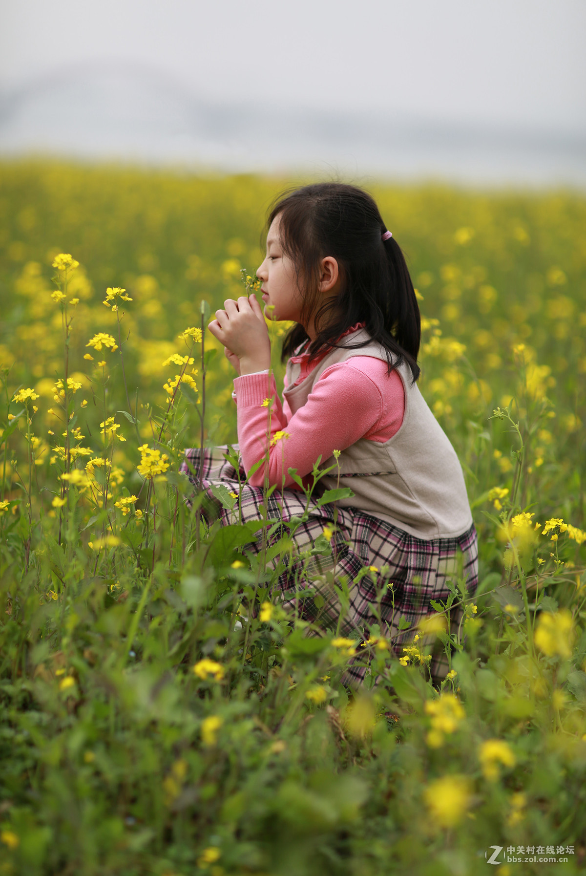12年初就没碰过机子啦，女儿大了，还是重新配点装备拍纪念照吧，要不老来无回想