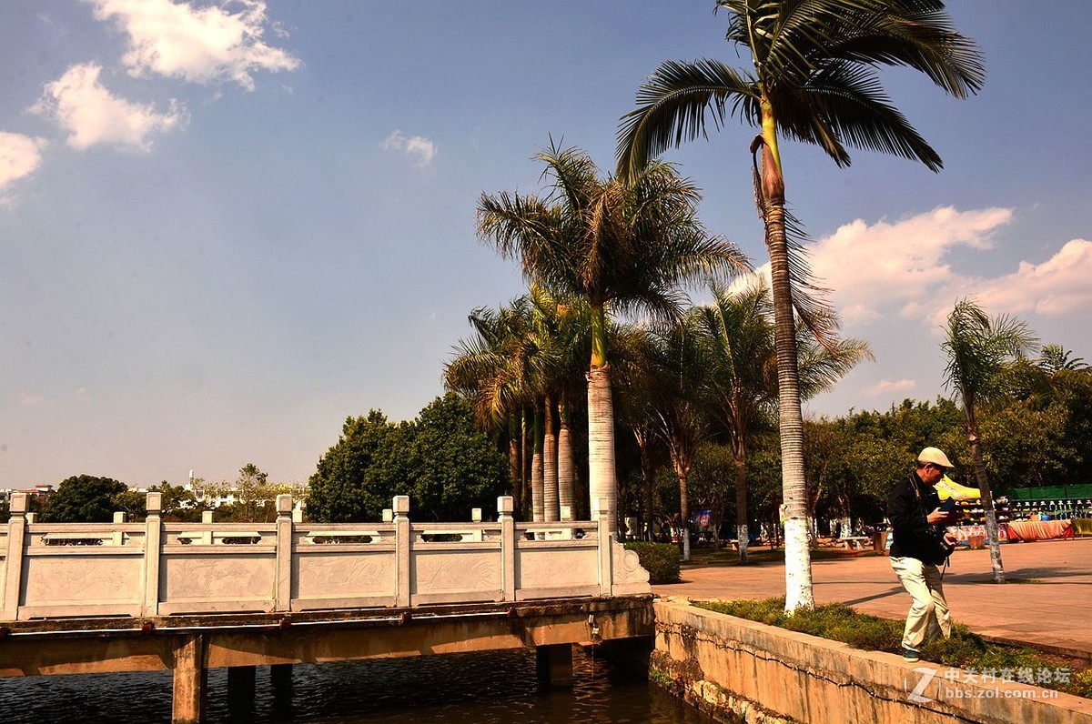 遊彩雲之南蒙自南湖公園