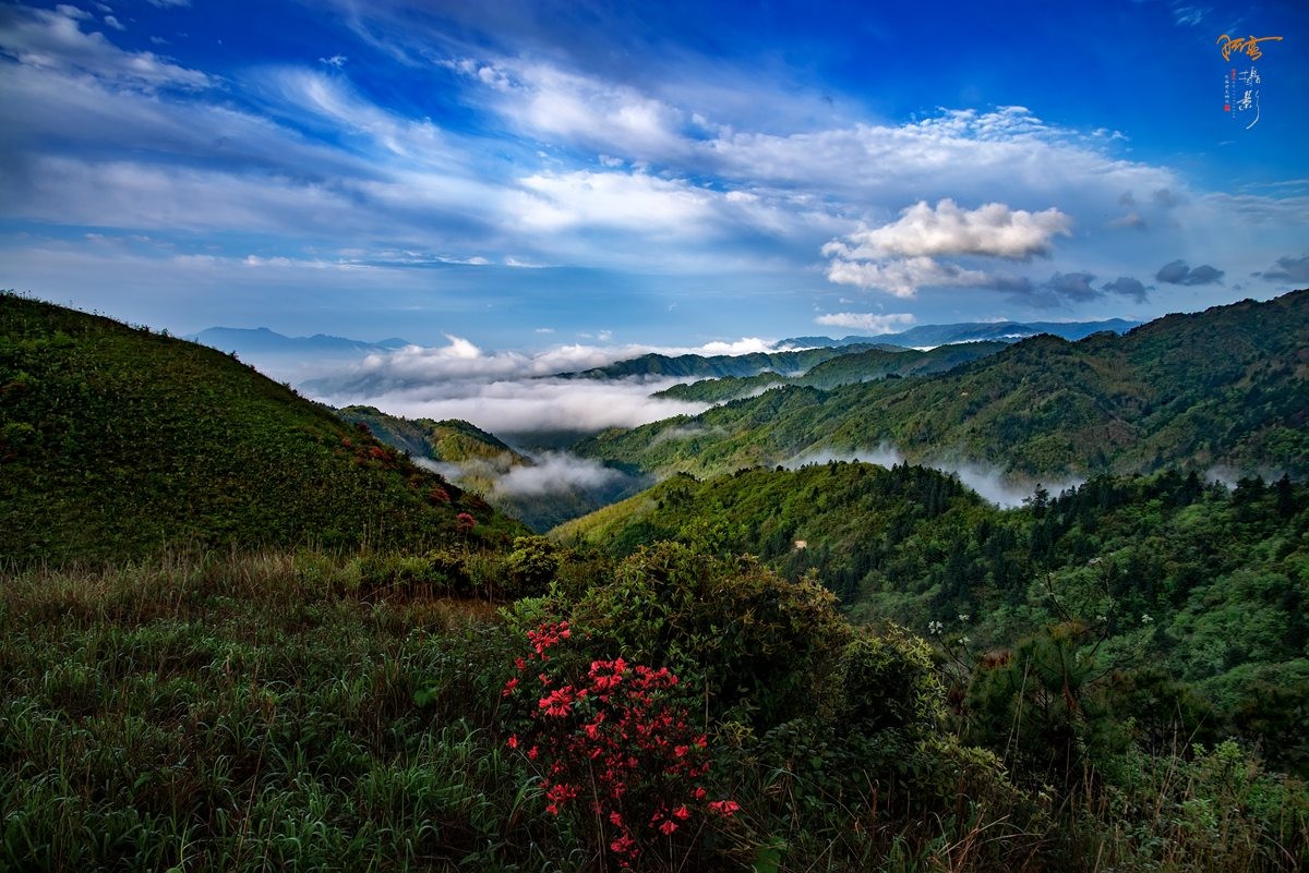 高山风光随拍~~~