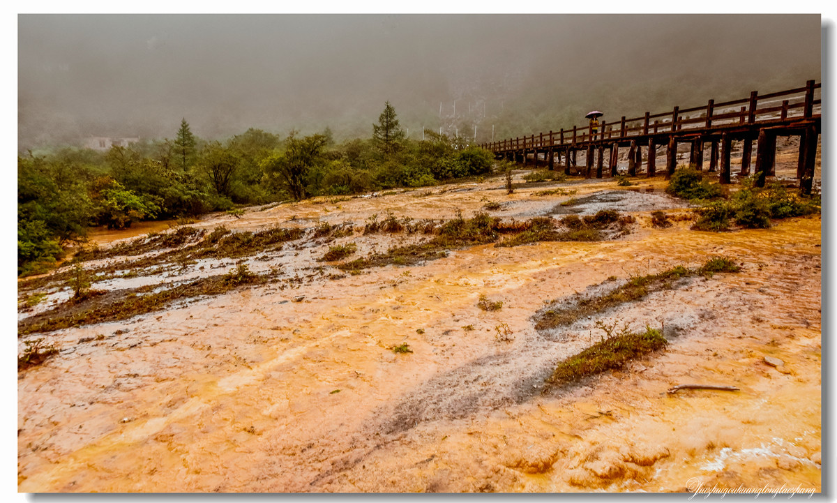 【老张光影】金舞雨雾 龙卧苍林