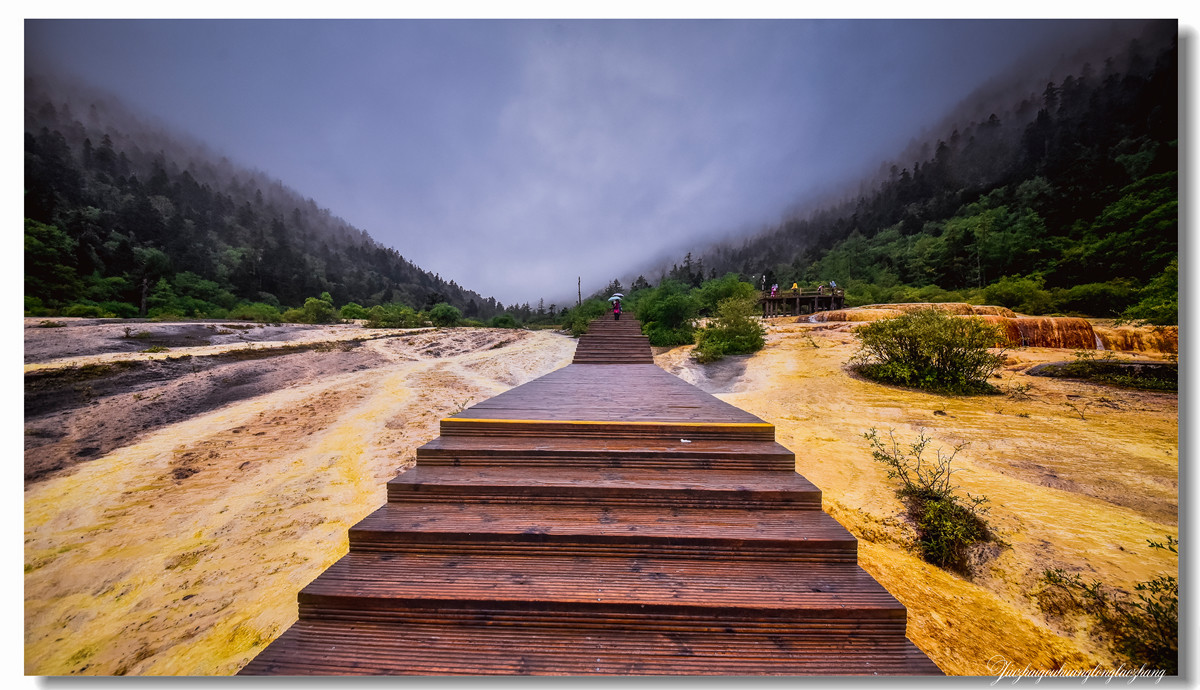 【老张光影】金舞雨雾 龙卧苍林