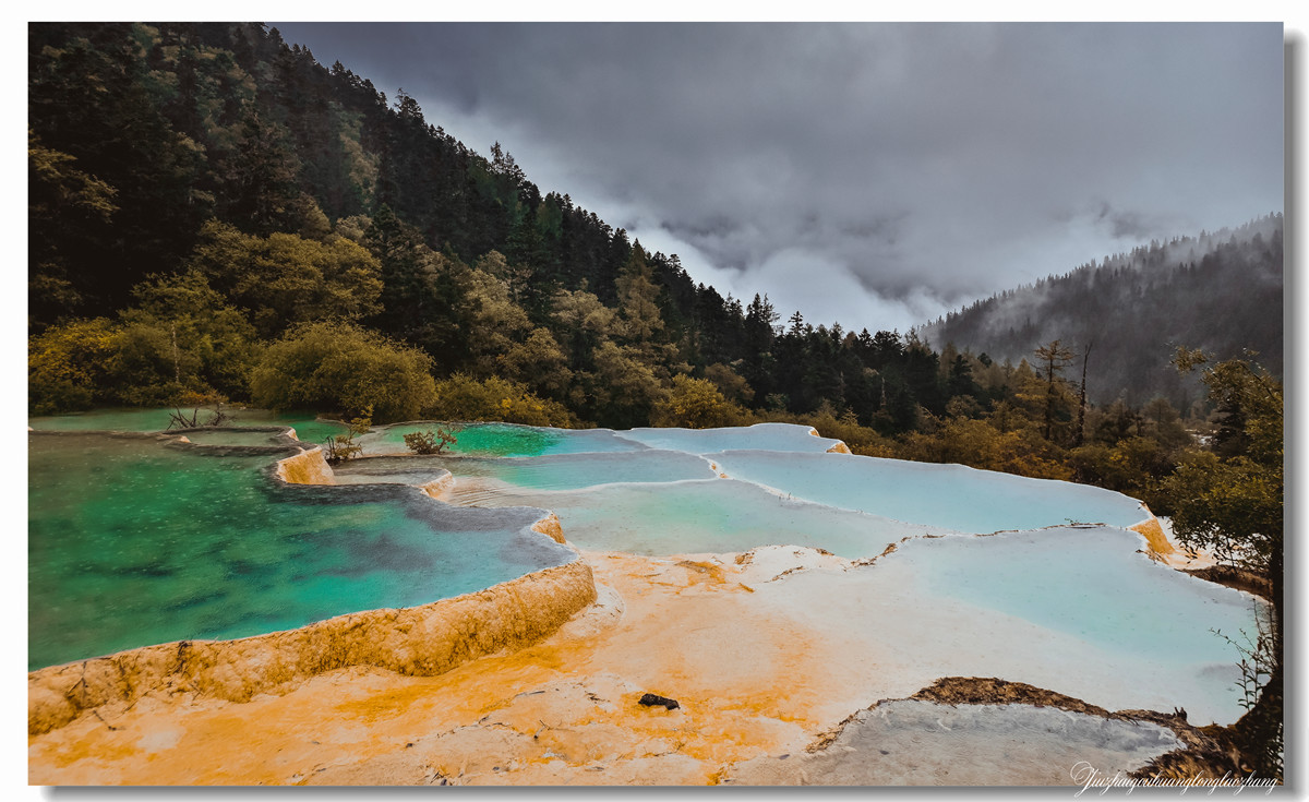 【老张光影】金舞雨雾 龙卧苍林