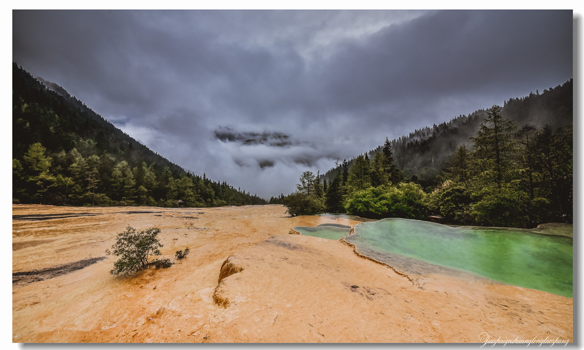 【老张光影】金舞雨雾 龙卧苍林