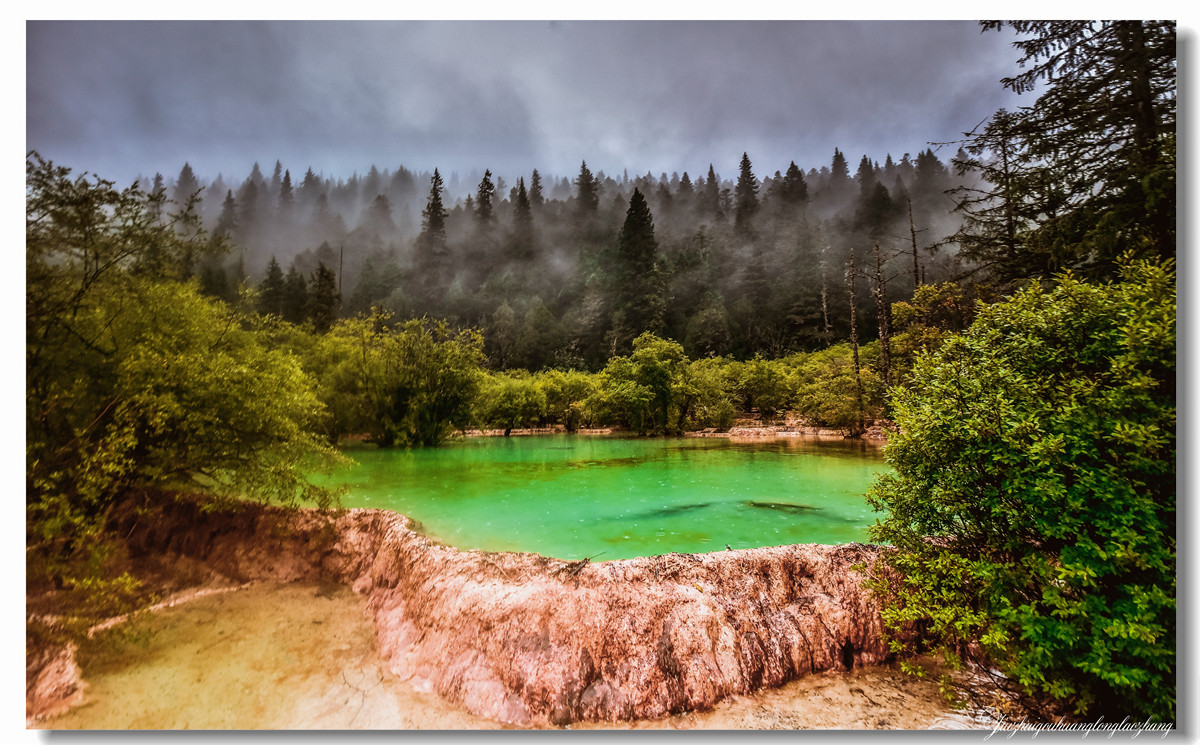 【老张光影】金舞雨雾 龙卧苍林