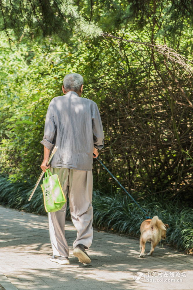 老有所乐yu 老有所为