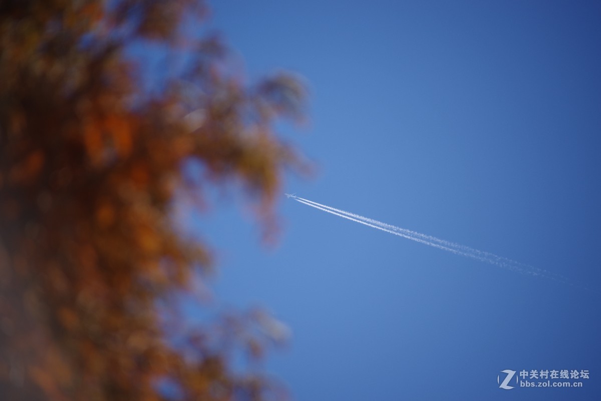 老光棍终于在双11把K1娶回家-试片