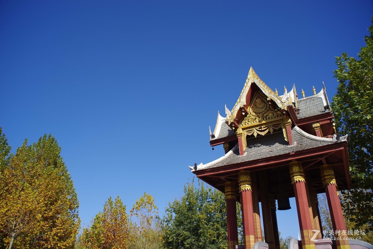 老光棍终于在双11把K1娶回家-试片