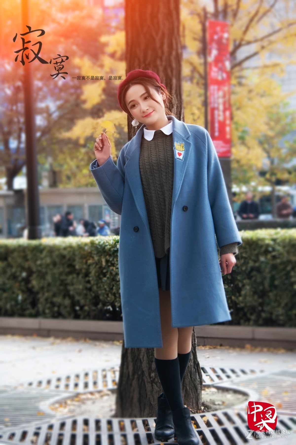 片片落叶片片情