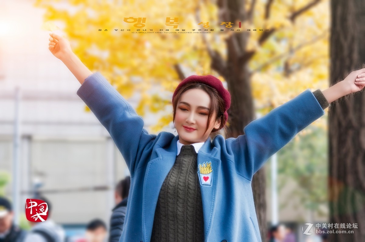 片片落叶片片情