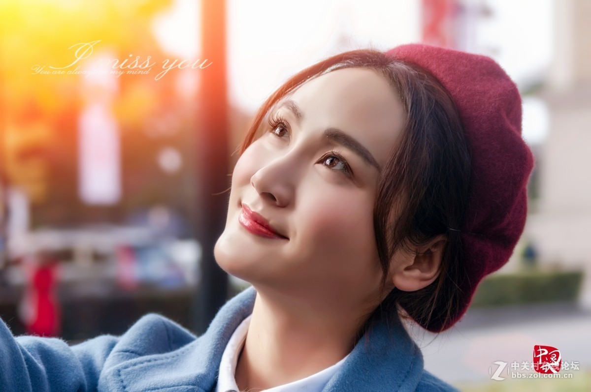 片片落叶片片情