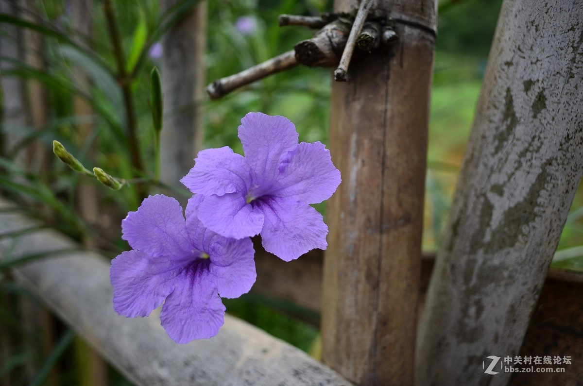 无任何修改 - （用客套话评价的，别来......)