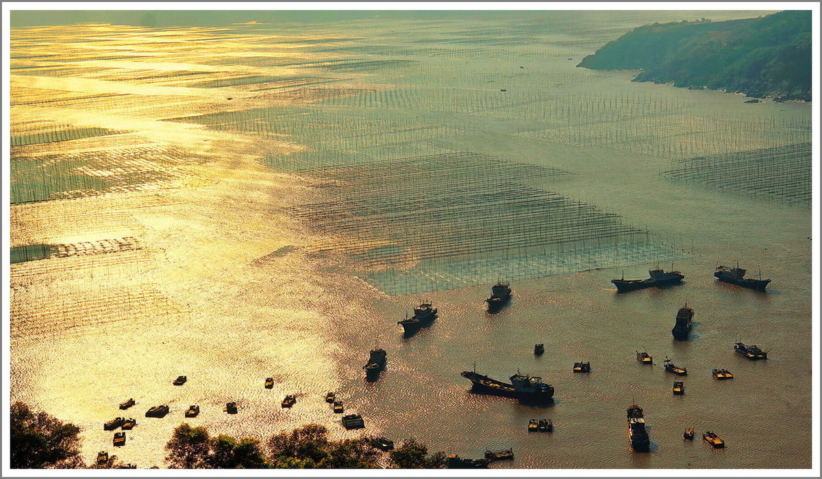 霞浦印像小皓村午后滩涂