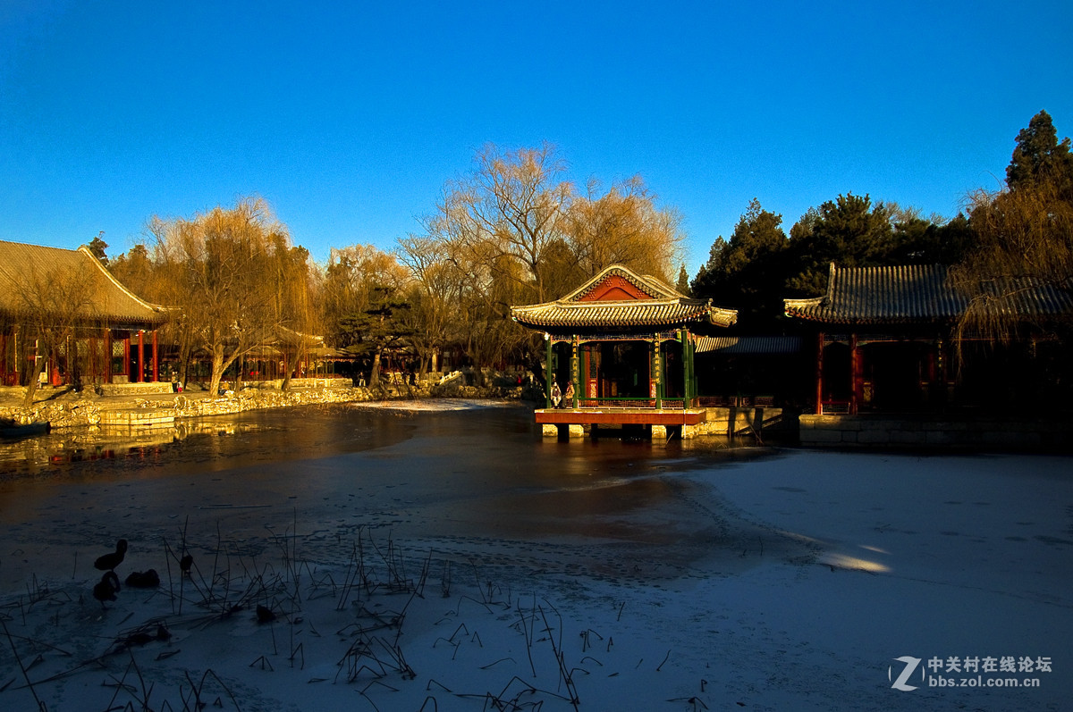 皇家园林------冬日呐喊