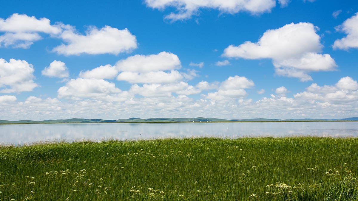 若尔盖  花湖湿地——2017川西北、甘南、青海自驾八日（4）