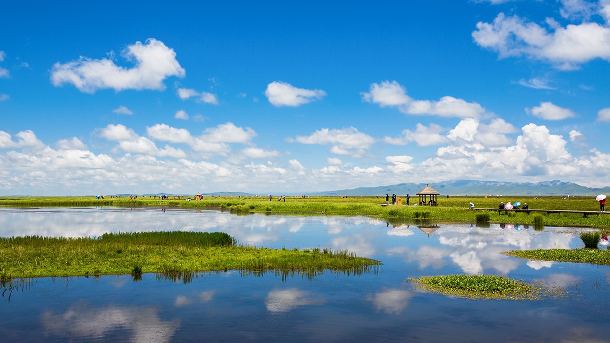 若尔盖  花湖湿地——2017川西北、甘南、青海自驾八日（4）