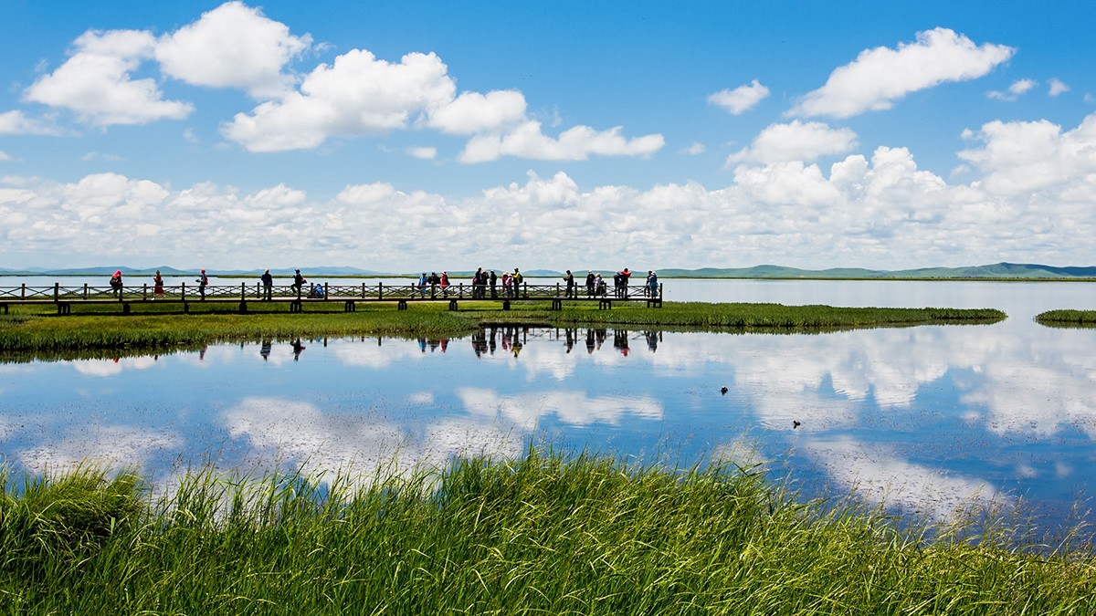 若尔盖  花湖湿地——2017川西北、甘南、青海自驾八日（4）
