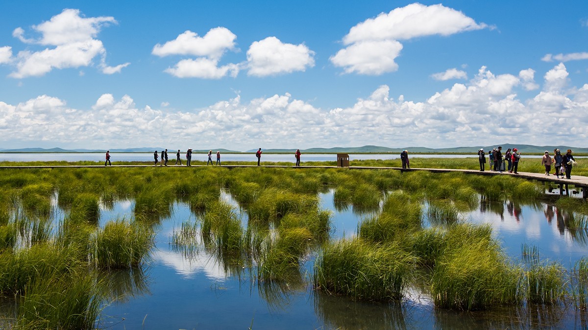 若尔盖  花湖湿地——2017川西北、甘南、青海自驾八日（4）