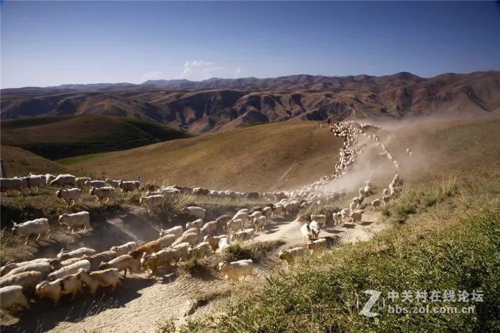 十一，金秋喀拉峻，你绝不能错过--气势恢弘的牧民秋冬转场