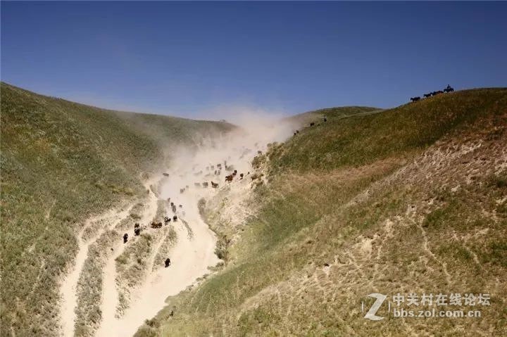 十一，金秋喀拉峻，你绝不能错过--气势恢弘的牧民秋冬转场