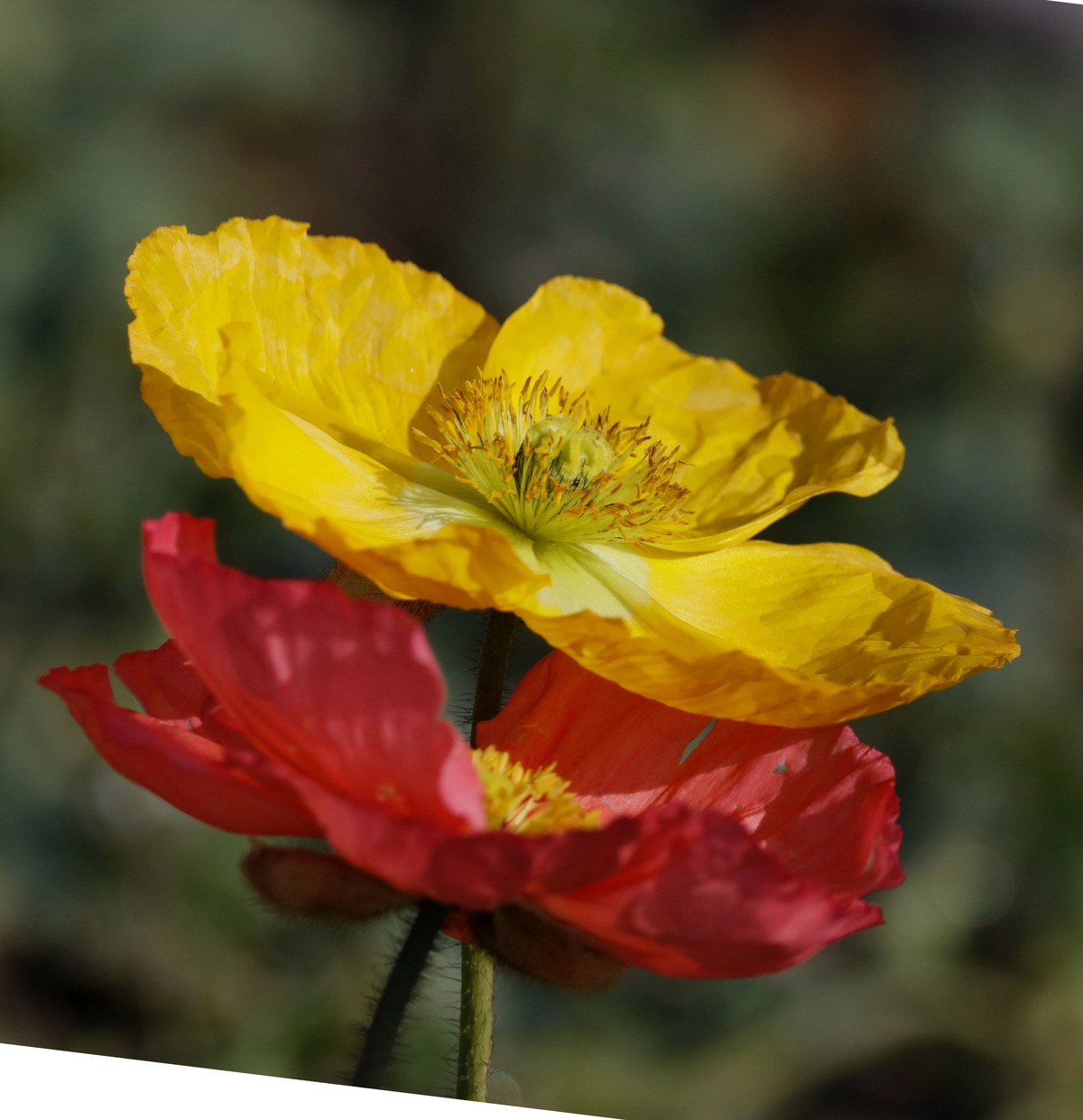 昨日入手5DsR试机