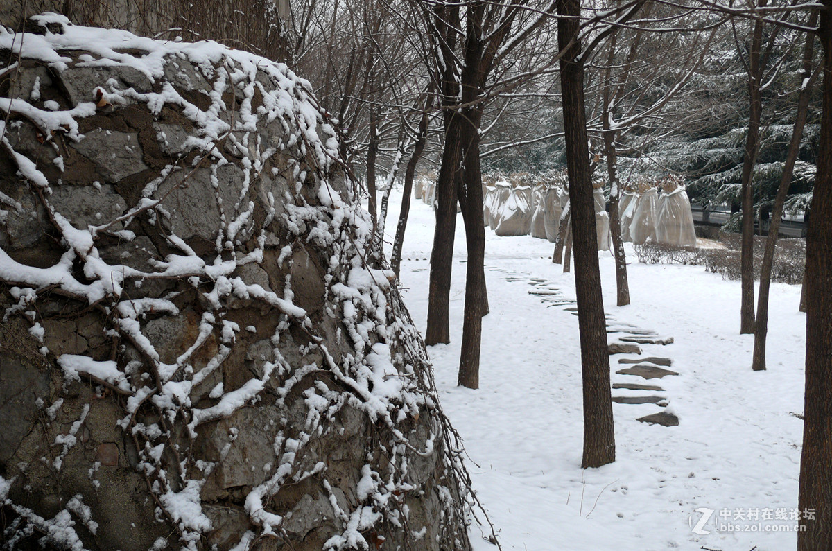 下雪啦           1