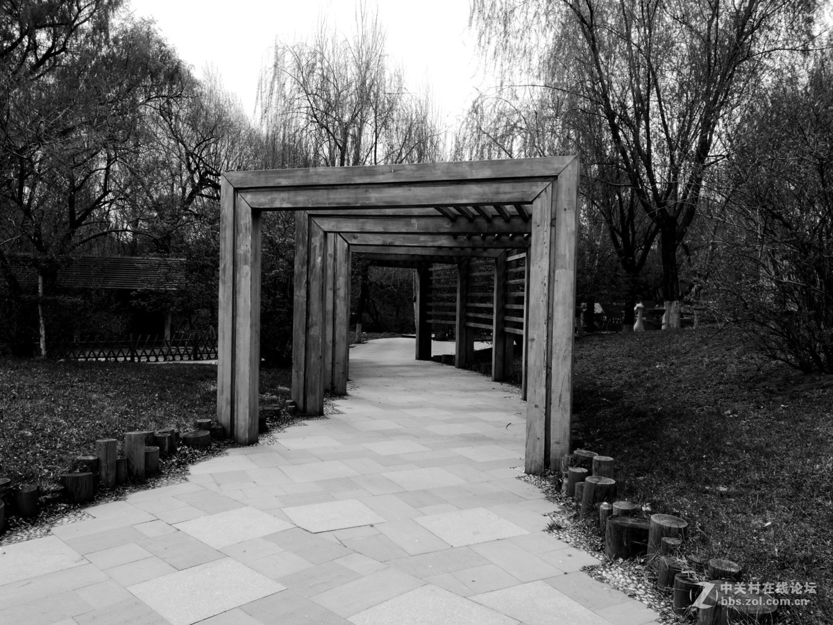 长春德苑（华为p9拍摄）