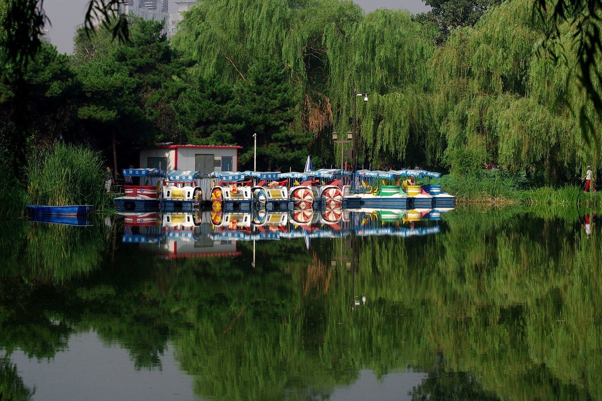 绿——让疲倦的心灵得到安宁与休息