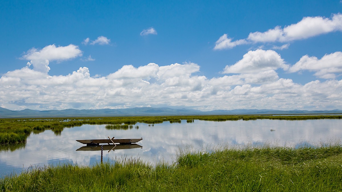 若尔盖  花湖湿地——2017川西北、甘南、青海自驾八日（4）