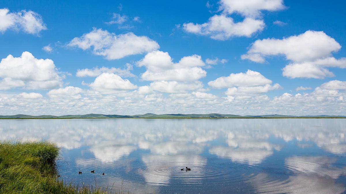 若尔盖  花湖湿地——2017川西北、甘南、青海自驾八日（4）