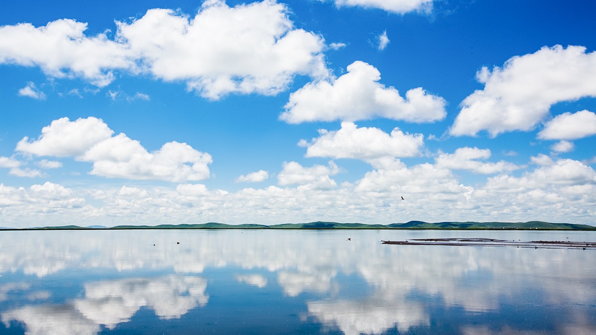 若尔盖  花湖湿地——2017川西北、甘南、青海自驾八日（4）