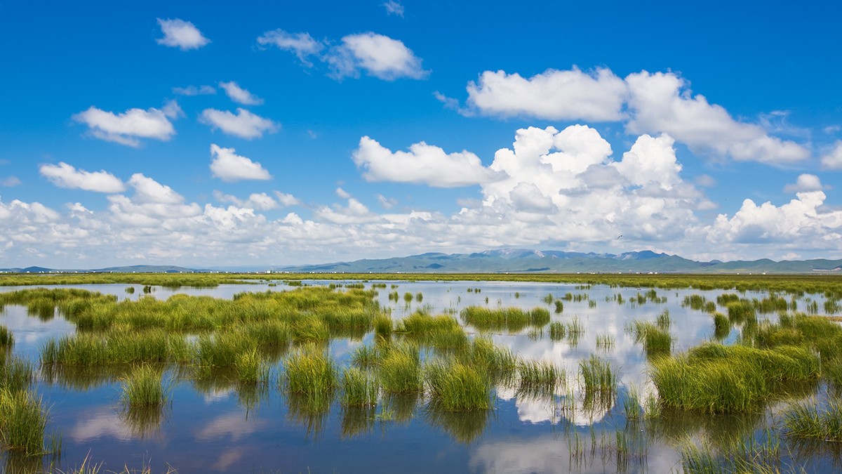 若尔盖  花湖湿地——2017川西北、甘南、青海自驾八日（4）