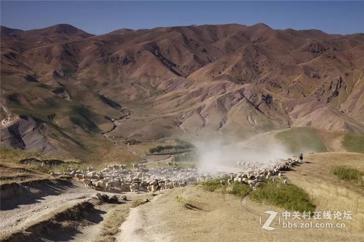 十一，金秋喀拉峻，你绝不能错过--气势恢弘的牧民秋冬转场