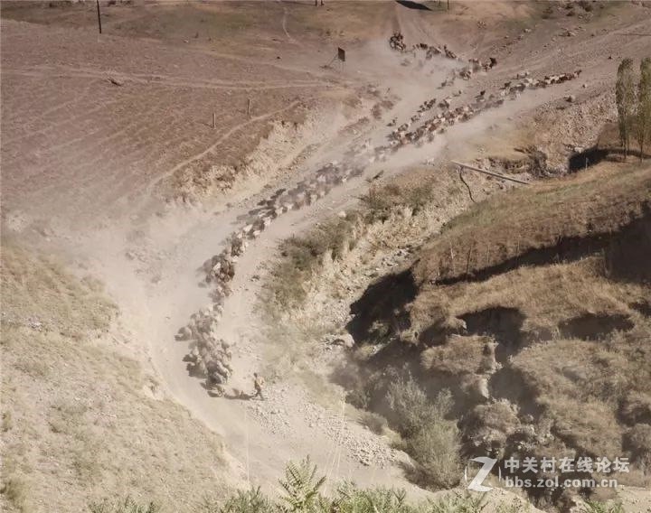 十一，金秋喀拉峻，你绝不能错过--气势恢弘的牧民秋冬转场