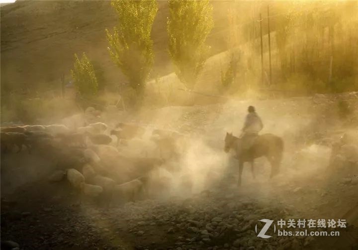 十一，金秋喀拉峻，你绝不能错过--气势恢弘的牧民秋冬转场