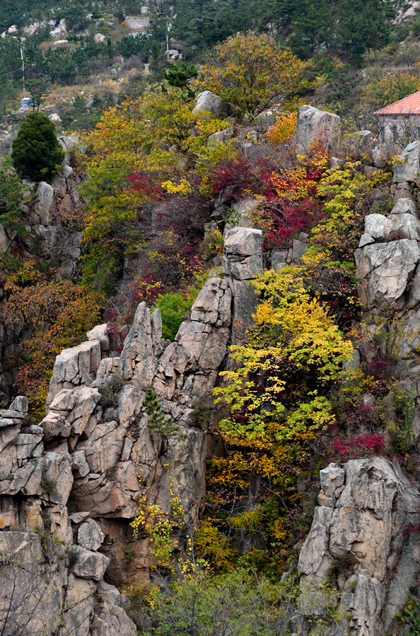 【 · 九水秋色 · 】