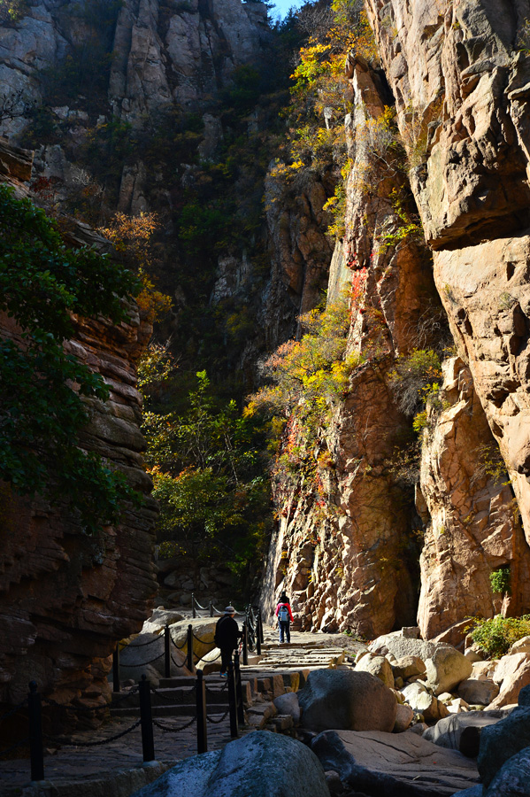 【 · 九水秋色 · 】