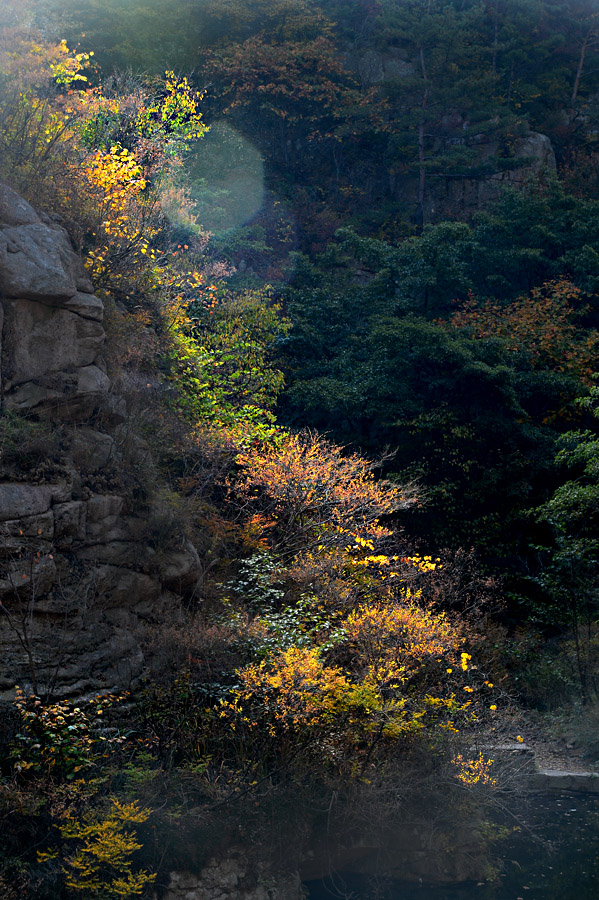 【 · 九水秋色 · 】