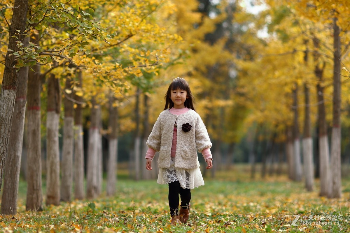 银杏林人像之邻家有女初长成