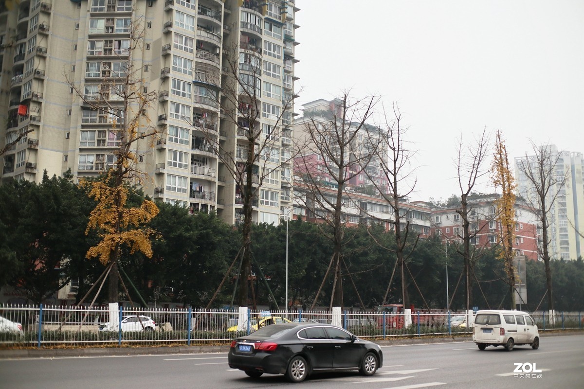 EOS M6 七工匠25mm f1.8手动头扫街