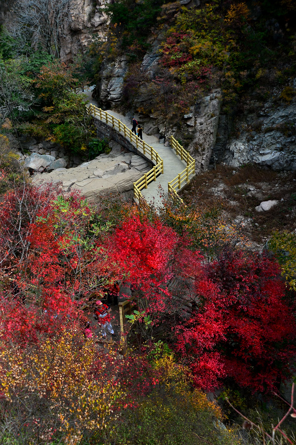 【 · 九水秋色 · 】