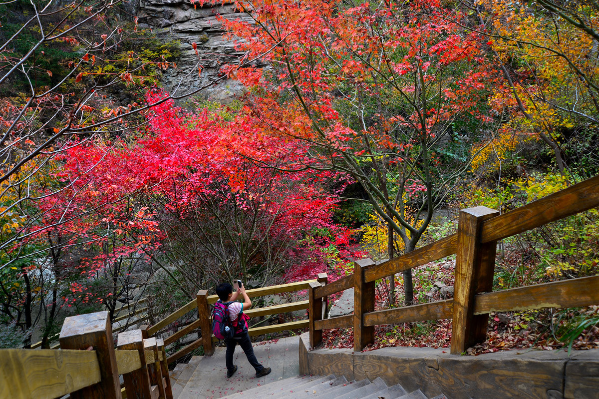 【 · 九水秋色 · 】