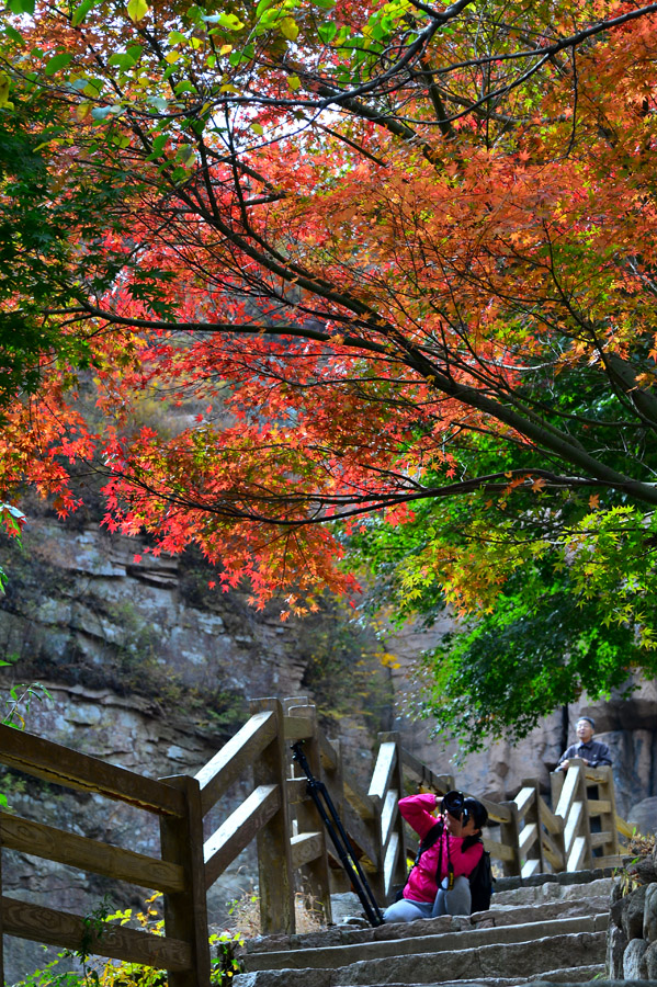 【 · 九水秋色 · 】