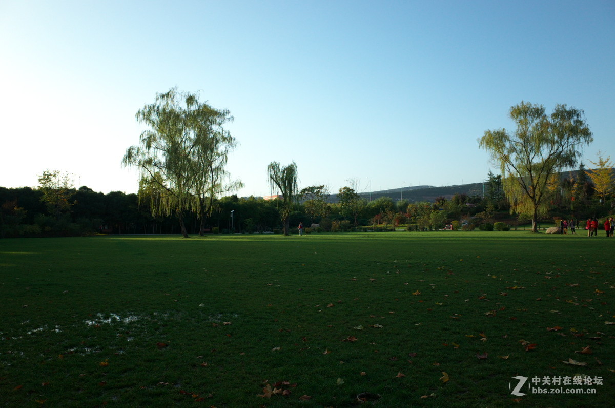 植物园菊展——随拍一组