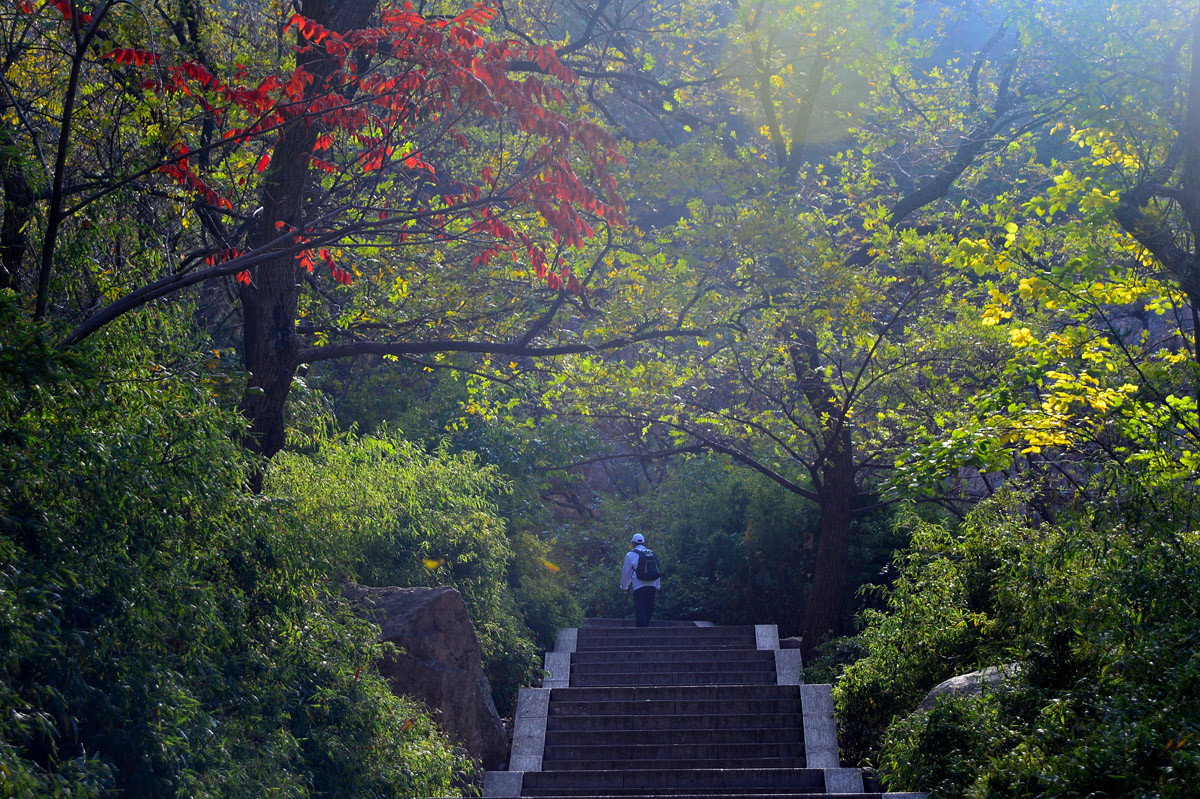 【 · 九水秋色 · 】