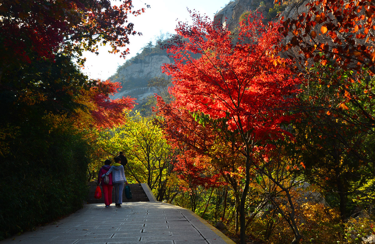 【 · 九水秋色 · 】